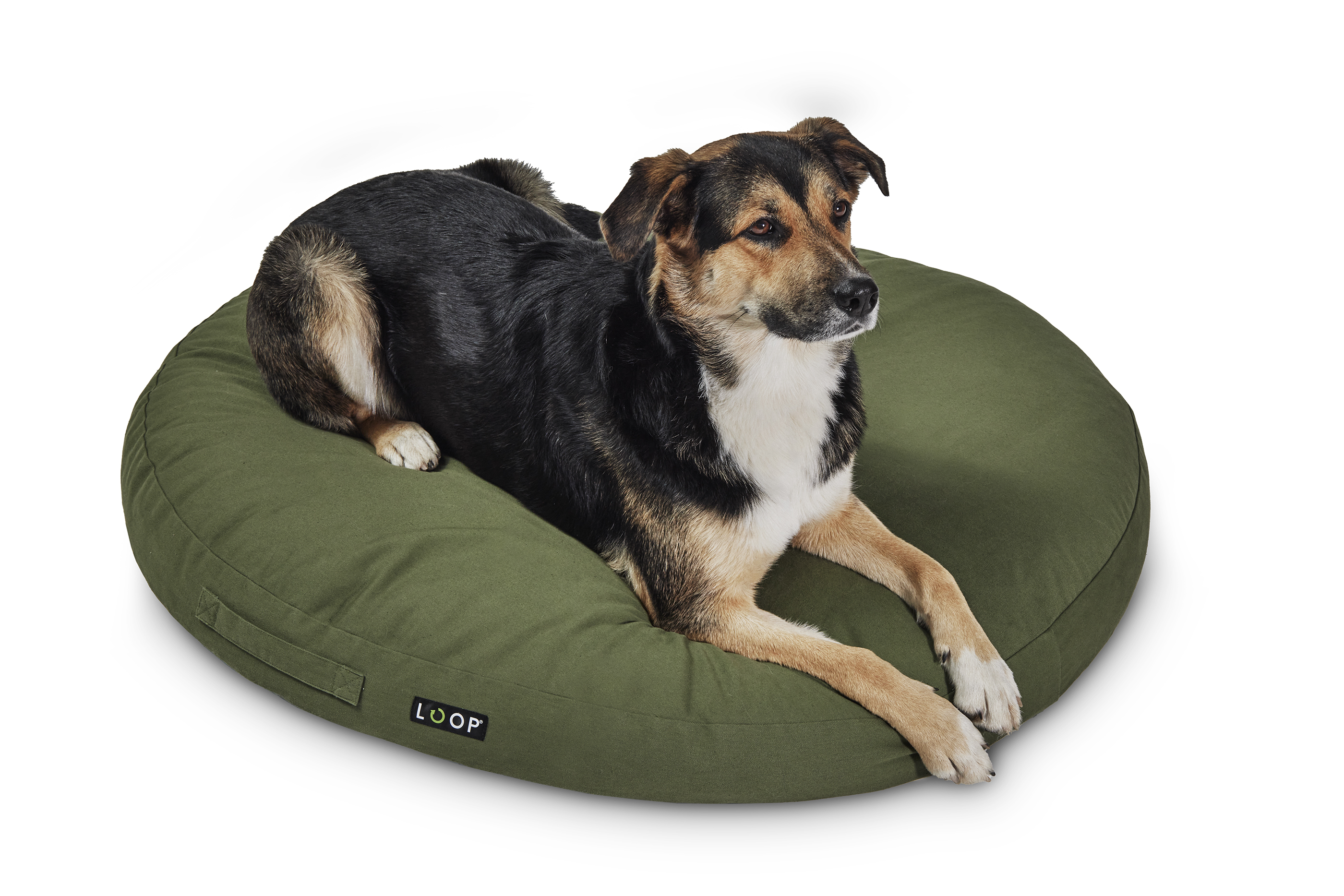 Hundekissen - Nachhaltige Kuschelinsel für Hunde grün