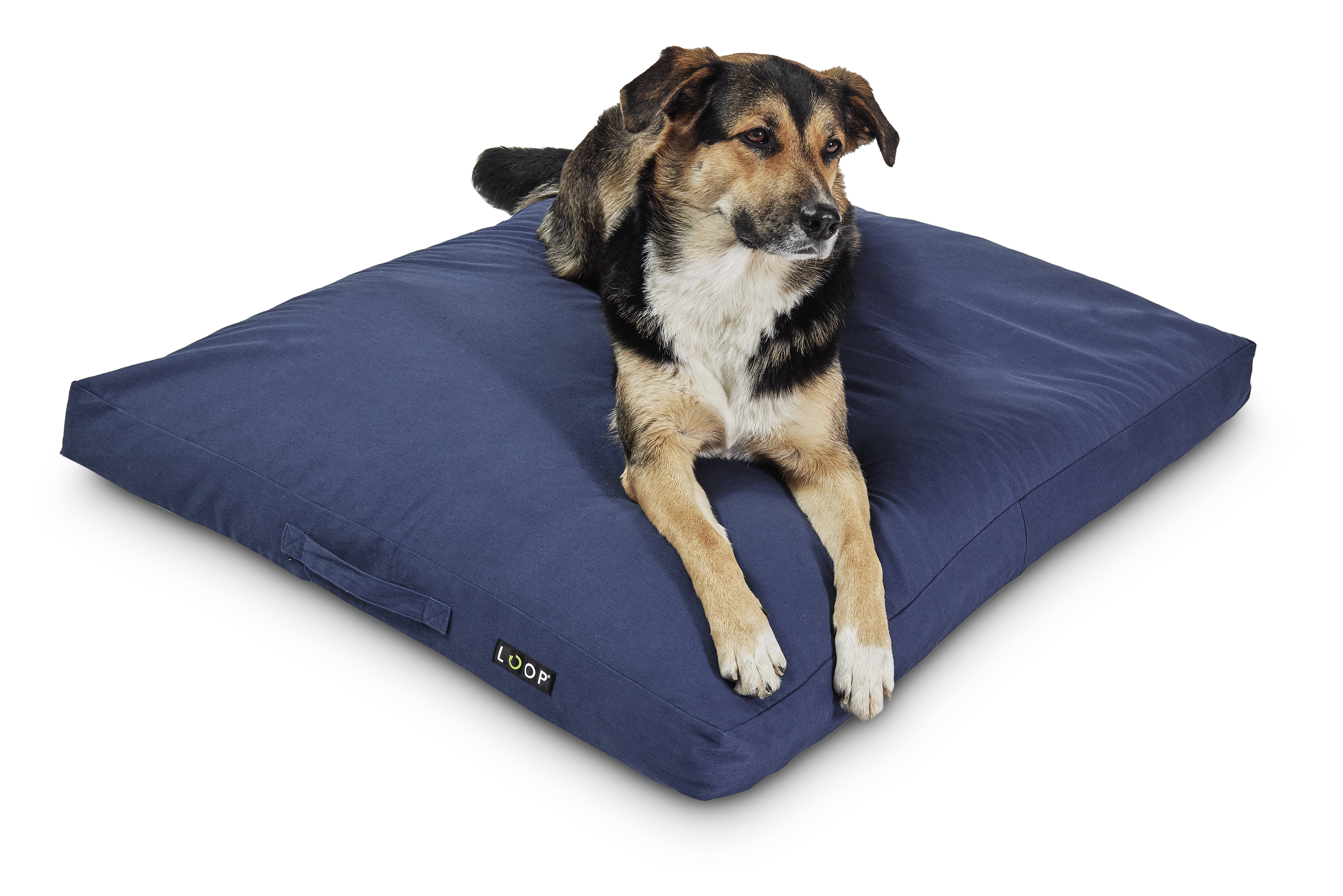 Nachhaltige Hundelounge Loop  blau