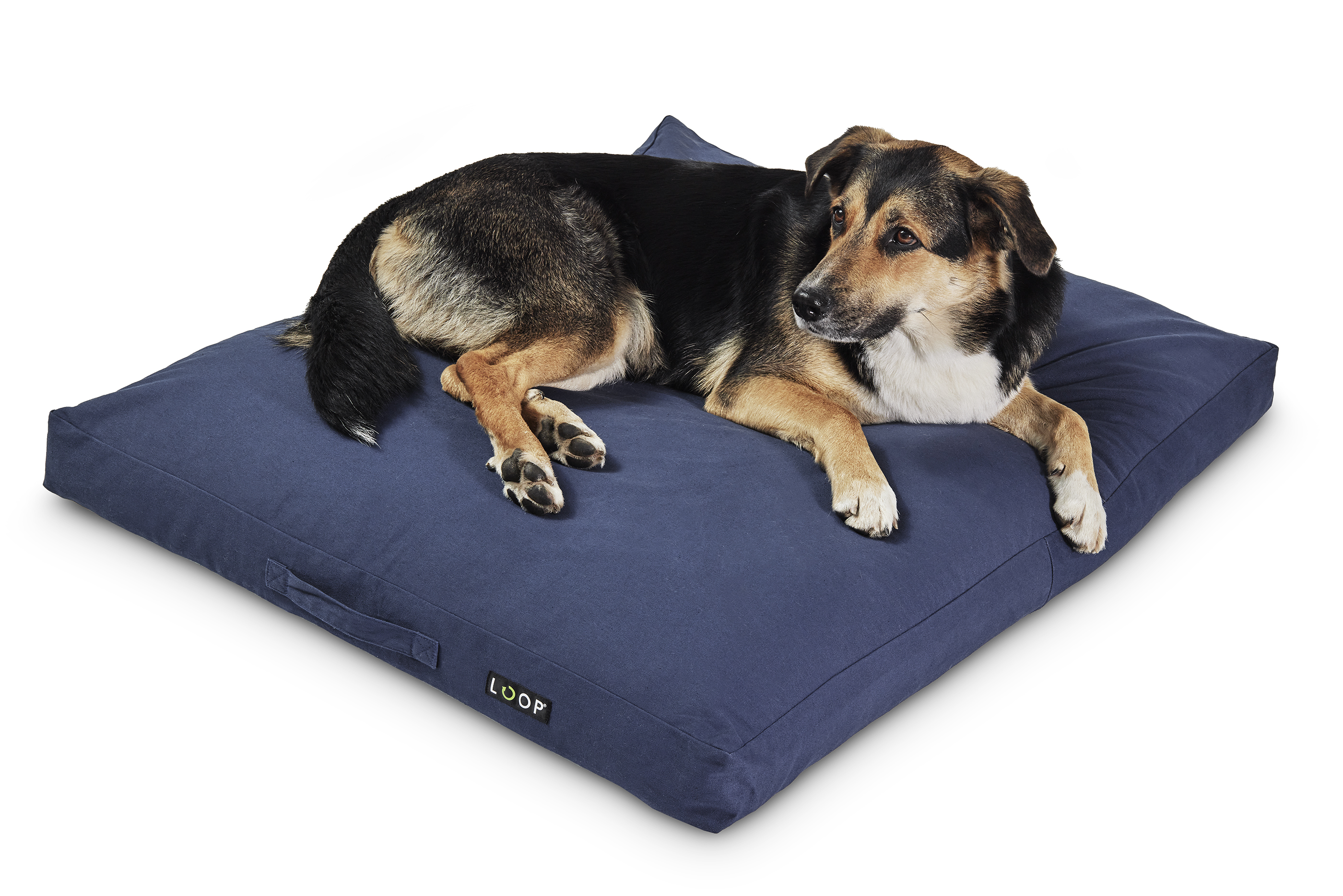 Nachhaltige Hundelounge Loop blau