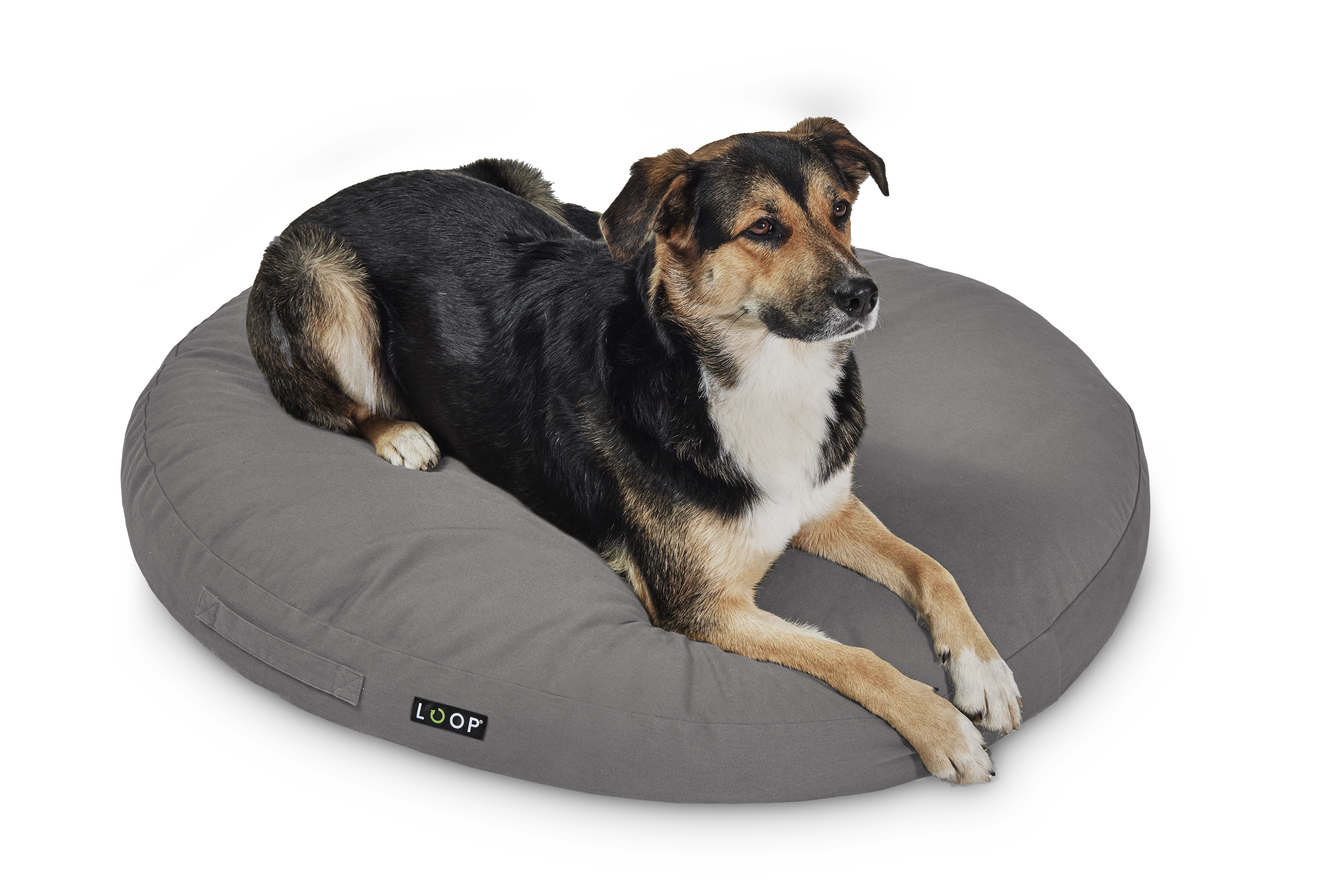 Hundekissen - Nachhaltige Kuschelinsel für Hunde grau