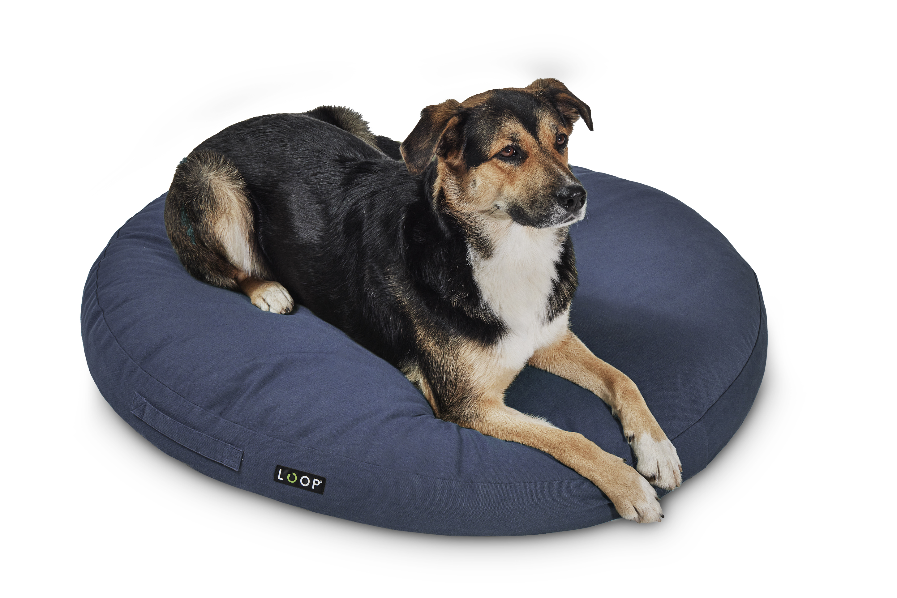 Hundekissen - Nachhaltige Kuschelinsel für Hunde blau